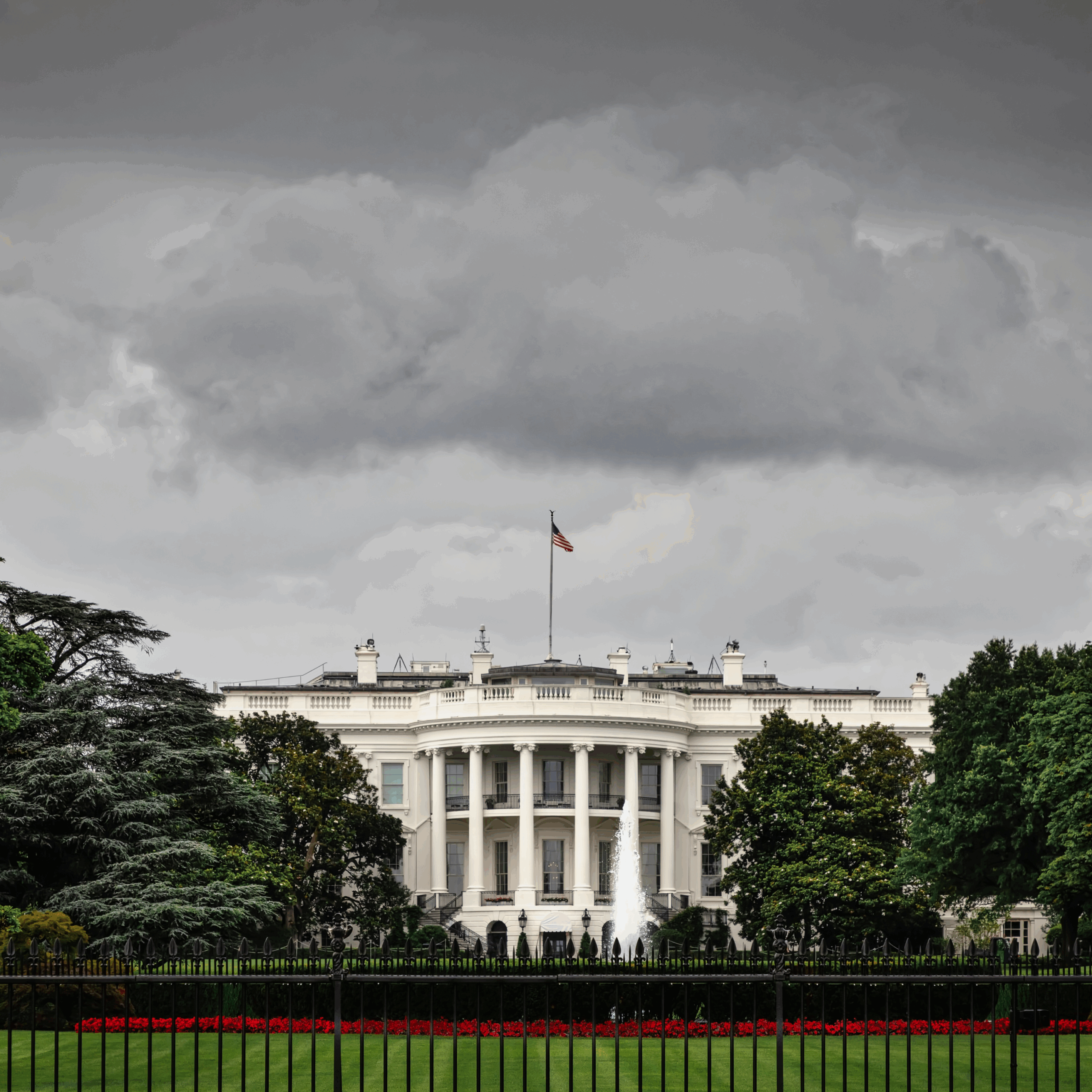 No Kings, No Silence: The American Resistance to Trump’s Militarized Rule